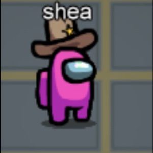 Meet your Posher, Shea